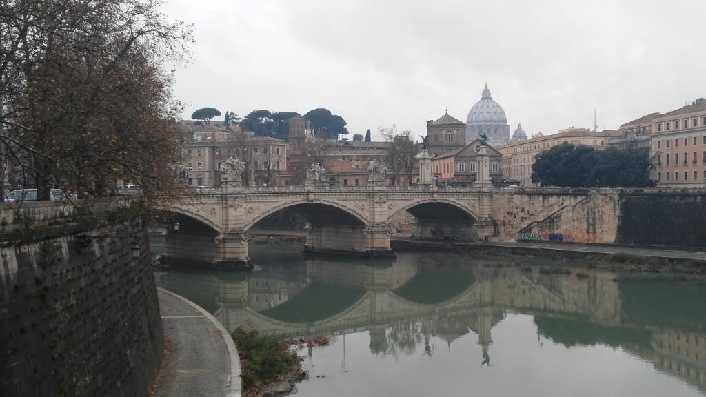 Fiore Vaticano B&B Roma Esterno foto